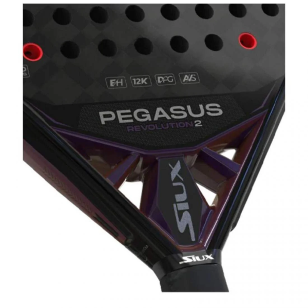 Siux Pegasus Revolution 2 2024 - immagine 4